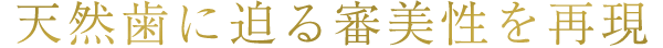 天然歯に迫る審美性を再現