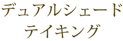 デュアルシェードテイキング